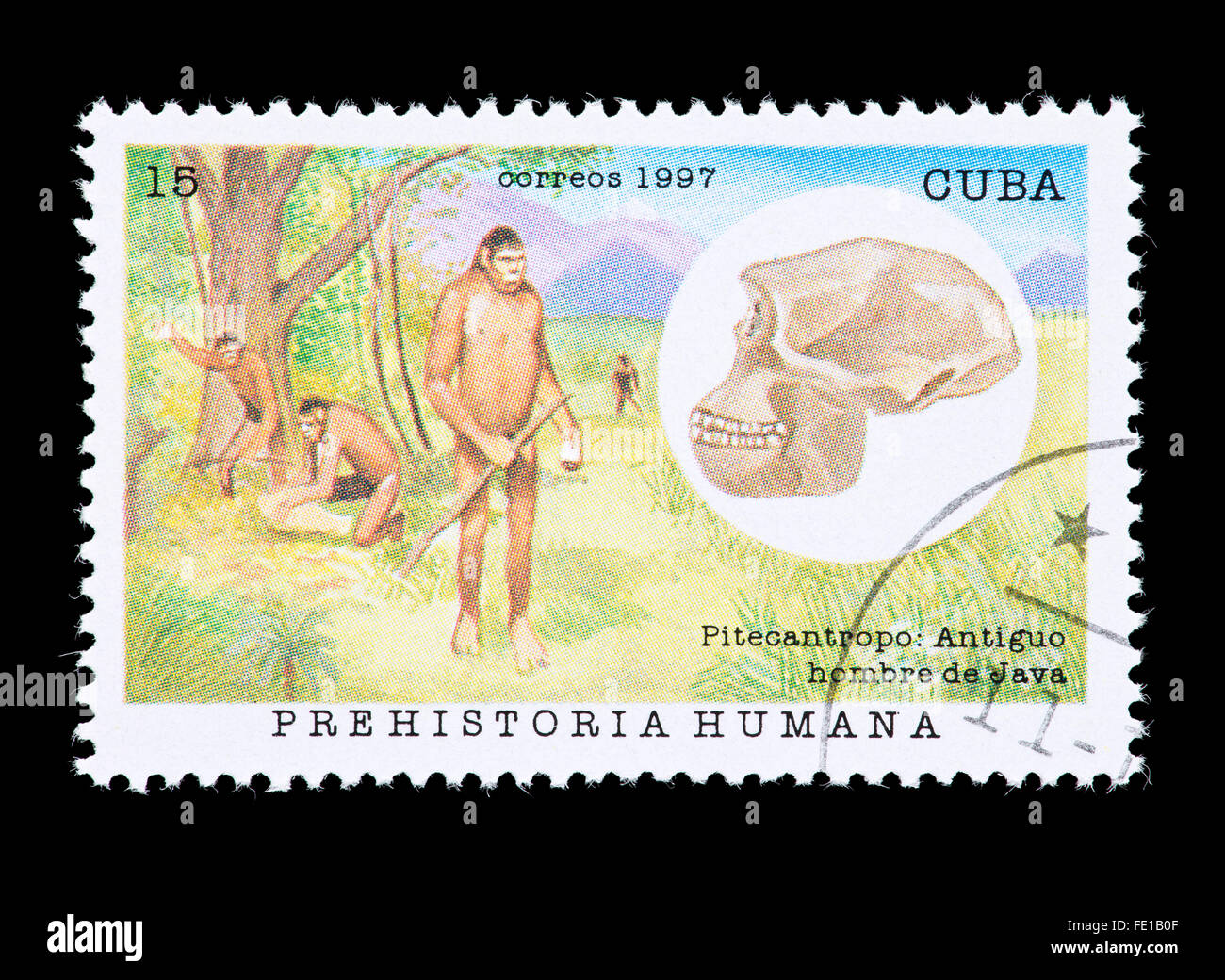 Briefmarke aus Kuba Darstellung Pithecanthropus (Java-Mensch) Stockfoto