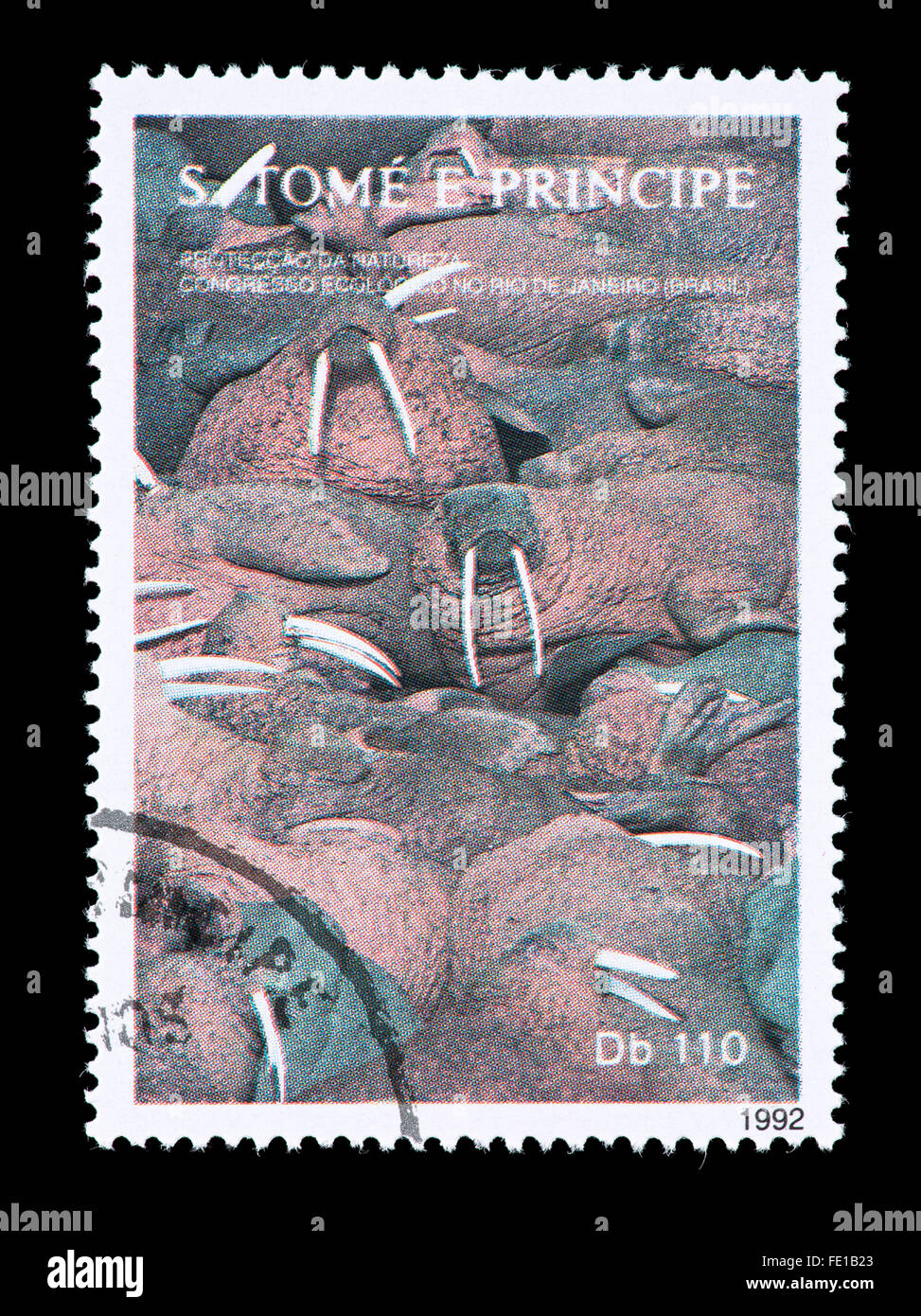 Briefmarke aus São Tomé und Príncipe Darstellung ein Walross (Odobenus Rosmarus) Stockfoto