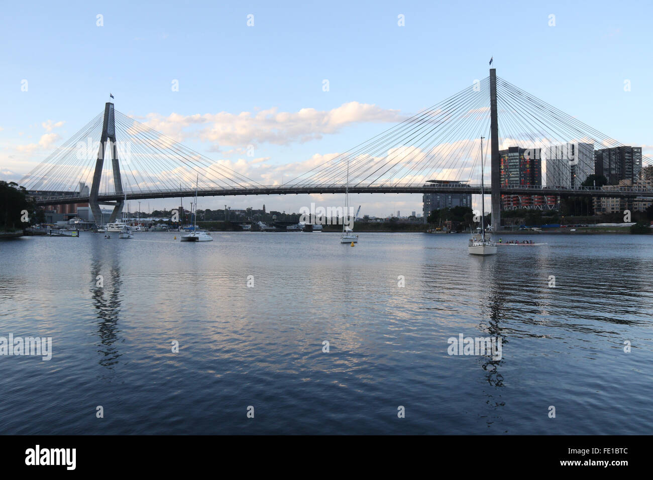 Die ANZAC Bridge gesehen vom Glebe Foreshore Weg – Sydney, Australien Stockfoto