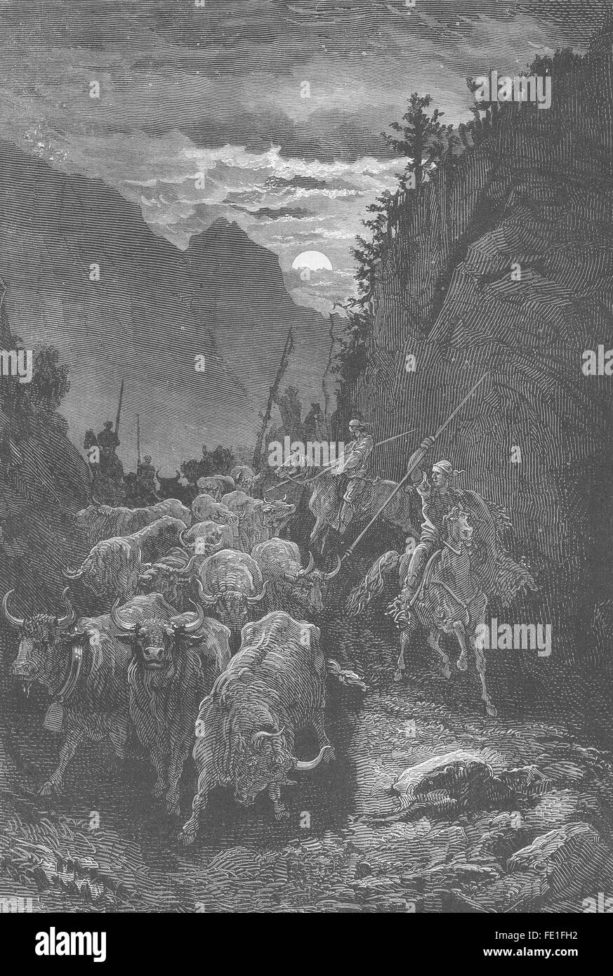 Spanien: Fuhr der Kampfstiere; Mitternacht, antiken print 1881 Stockfoto