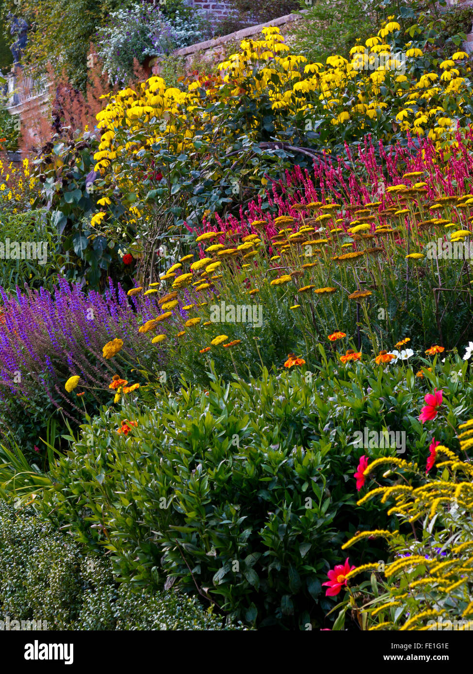 Blick über die formalen Garten Grenzen im Spätsommer auf Powis Castle in der Nähe von Welshpool Powys Wales UK Stockfoto