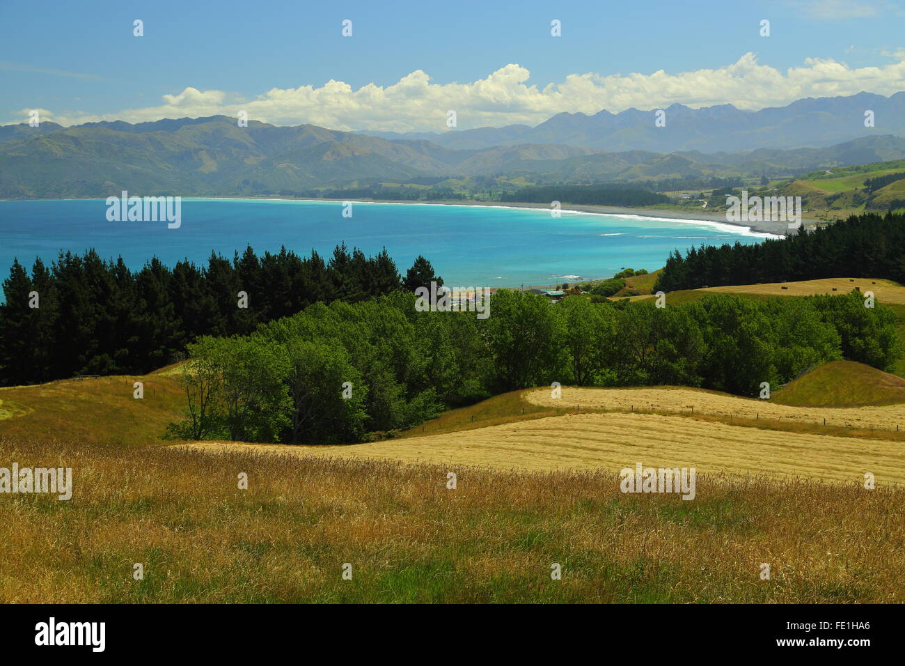 South Bay von Kaikoura Halbinsel in Neuseeland gesehen. Stockfoto