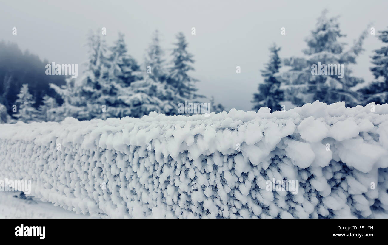 Winterlandschaft mit schneebedeckten Bäumen und Holzzaun mit Frost bedeckt Stockfoto