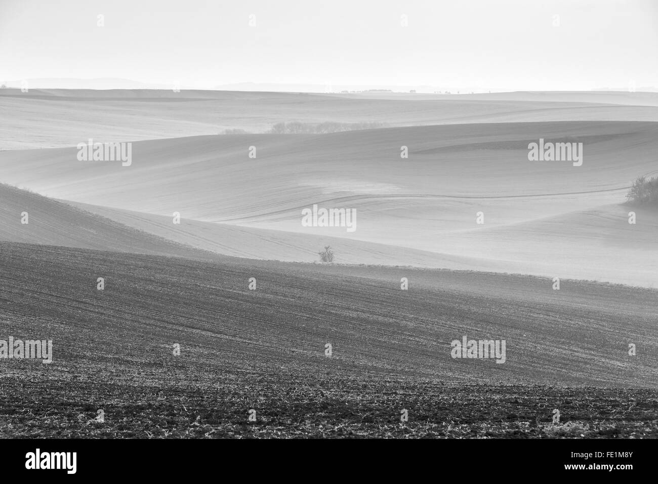 Frühling. April. Moravia-Felder in einem bewölkten Tag Stockfoto