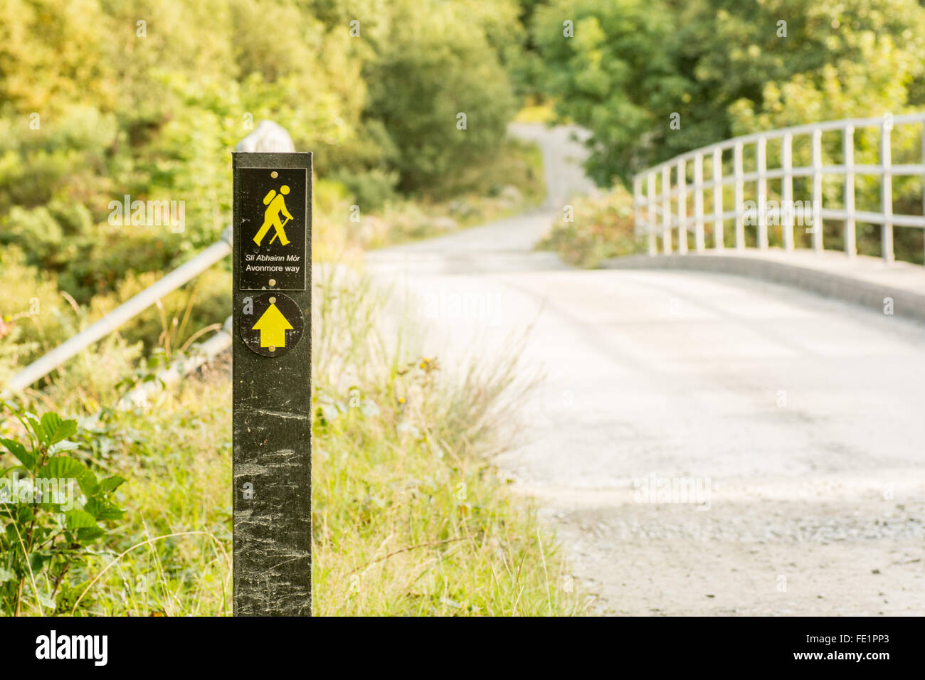 Wegpunkt neben einer Straße unterwegs Avonmore in Wicklow, Irland Stockfoto