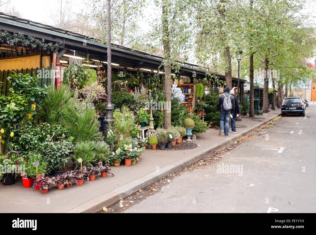 Blumen- und Vogelmarkt auf dem Place Lepine, marche aux fleurs, marche aux fleurs, Place Louis Lépine Markt, Paris, Frankreich. Stockfoto