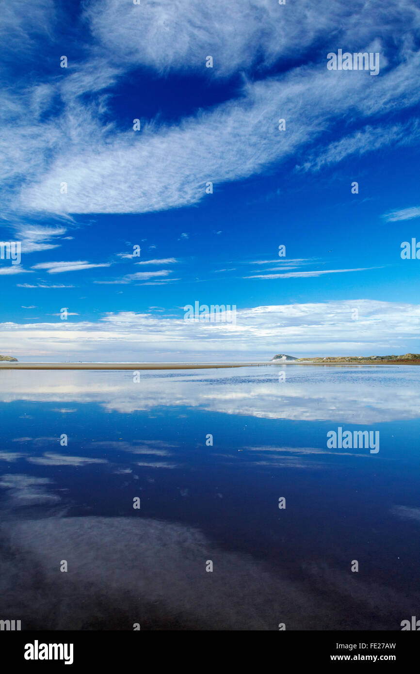 Reflexion im Kaikorai Lagoon, Waldronville, Dunedin, Otago, Südinsel, Neuseeland Stockfoto