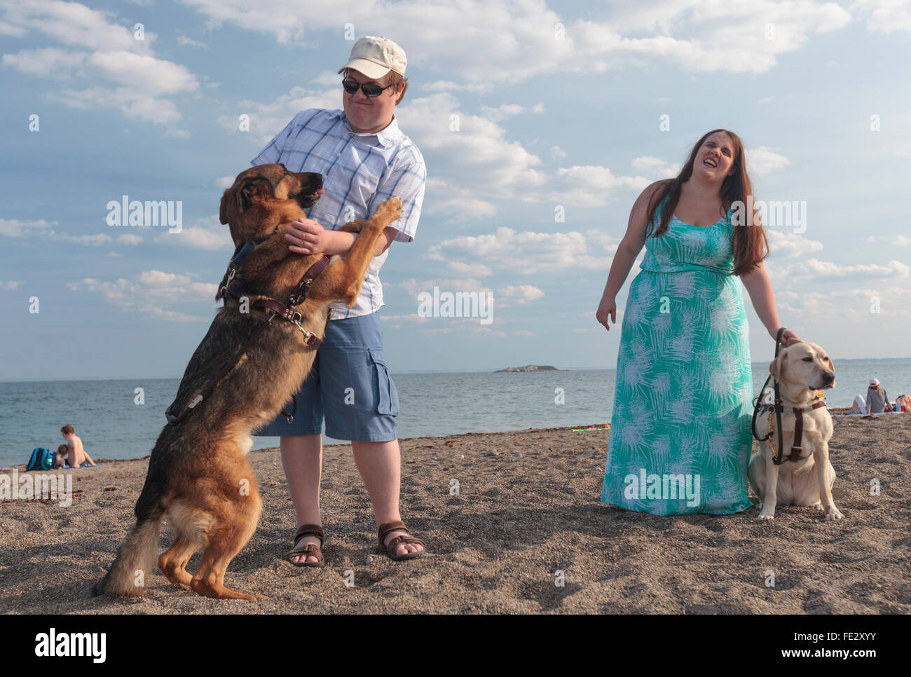 Blinde paar genießen am Strand mit ihren Service-Hunde Stockfoto