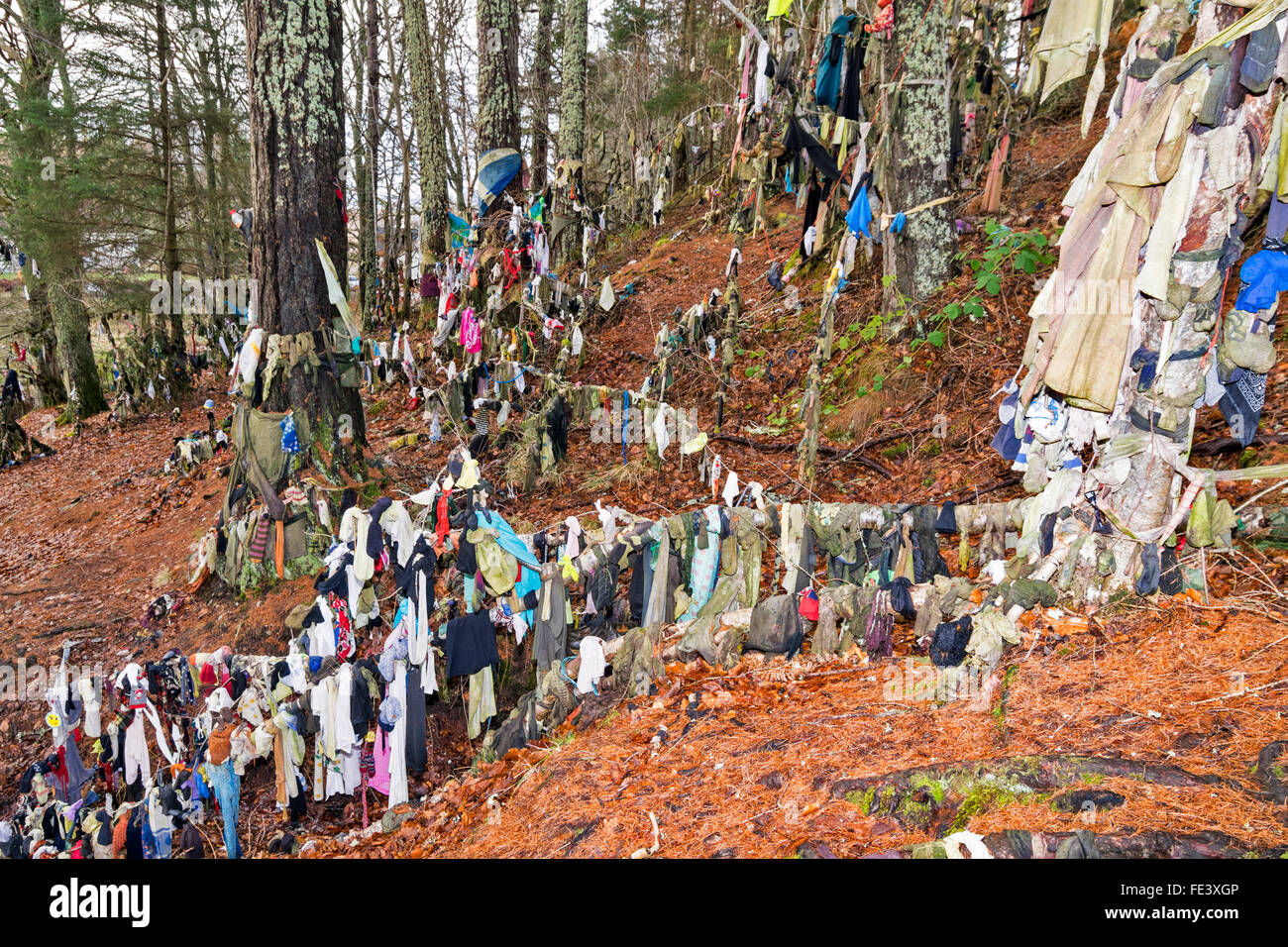 CLOOTIE GUT MUNLOCHY BLACK ISLE SCHOTTLAND KLEIDUNG ALLER ART RUND UM DEN BRUNNEN ODER FRÜHLING IM WALD Stockfoto
