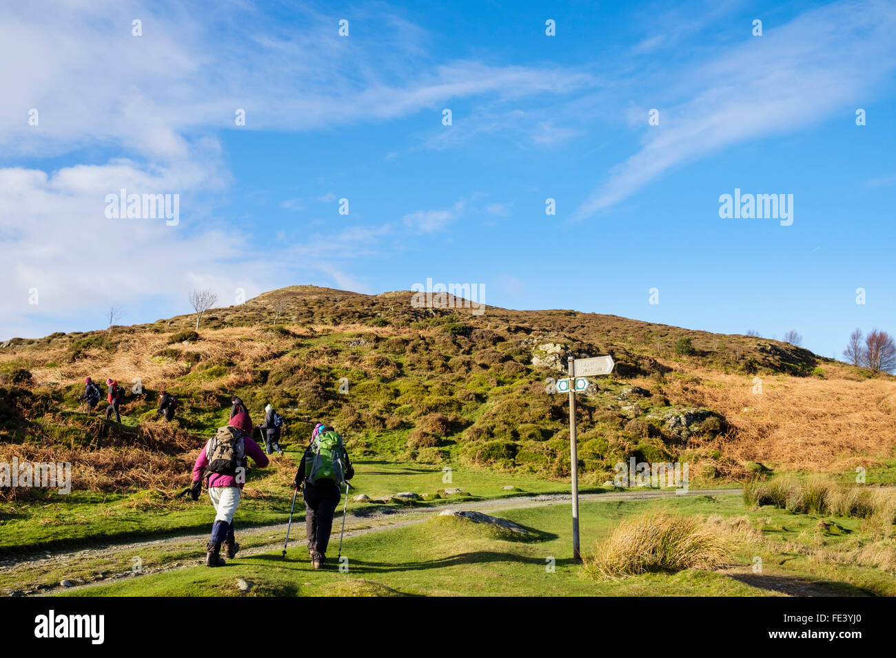 Wanderer mit Wanderweg-Wegweiser auf Conwy Berg am nördlichen Rand des Snowdonia auf North Wales Weg wandern. Wales UK Großbritannien Stockfoto