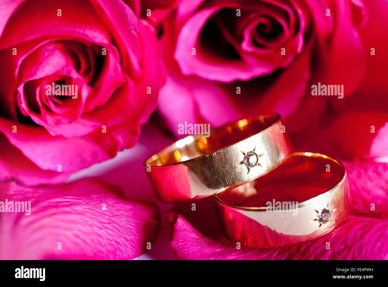 Detail der zwei Trauringe mit roter rose Stockfoto