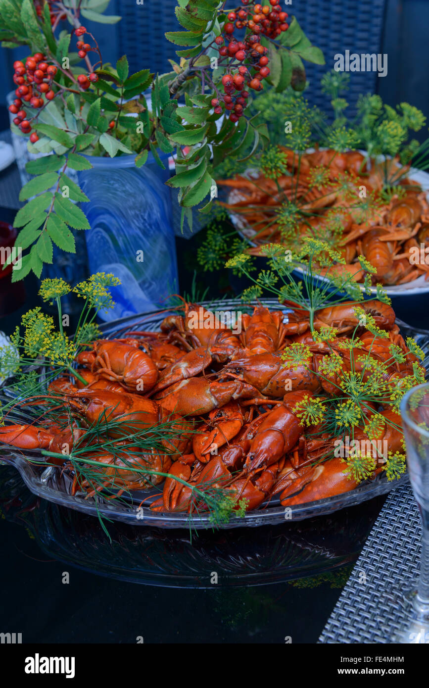 Für die schwedischen Crayfish party Stockfoto