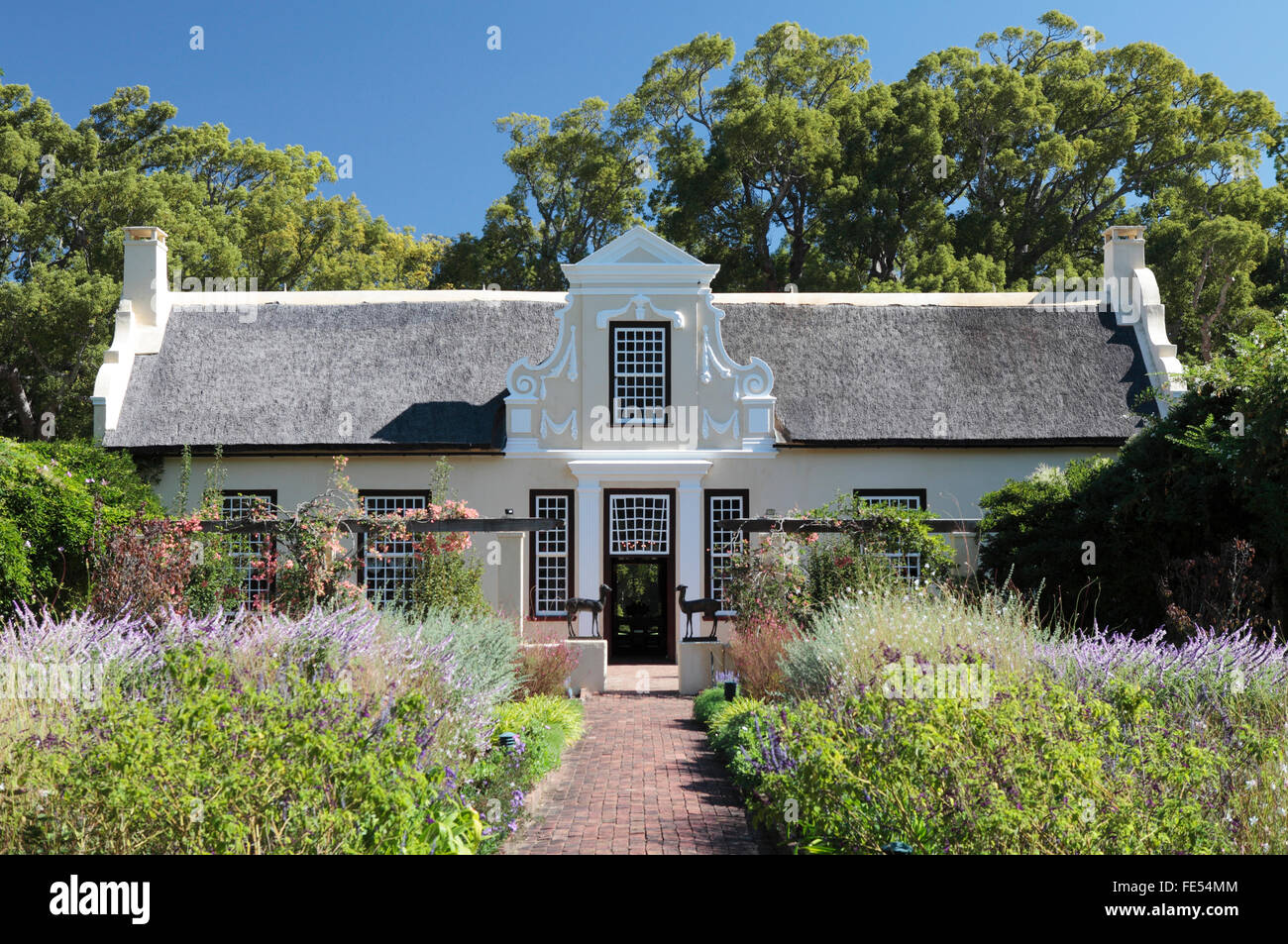 Vergelegen Wine Estate, Western Cape, Südafrika Stockfoto