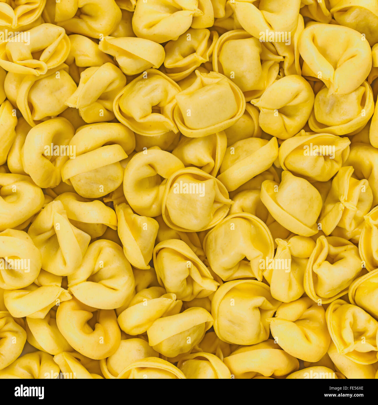 Tortellini Emiliani hausgemachte italienische rohe Makkaroni Nudeln gefüllt mit Rind- und Schweinefleisch Fleisch Textur Hintergrundmuster Stockfoto