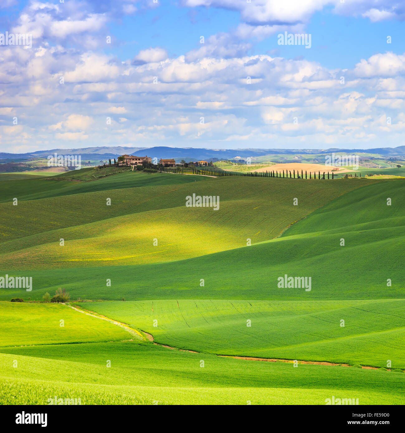 Toskana, Crete Senesi Land Landschaft, Italien, Europa. Sanfte Hügel, grüne Felder mit Schatten und Sonne, blauer Himmel partiall Stockfoto