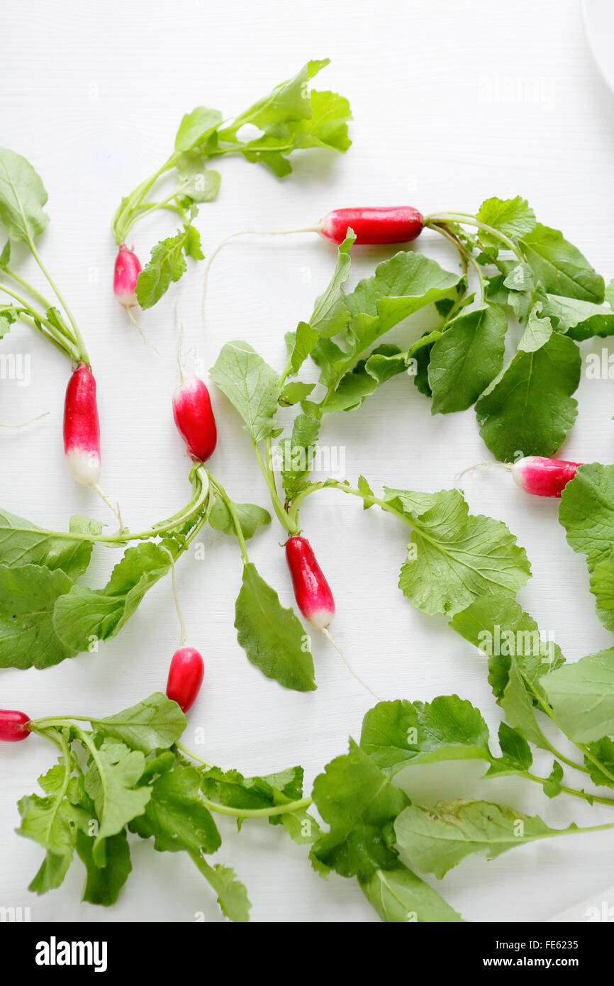 kleine Bio Radieschen auf weißen Tisch, frische Lebensmittel Stockfoto
