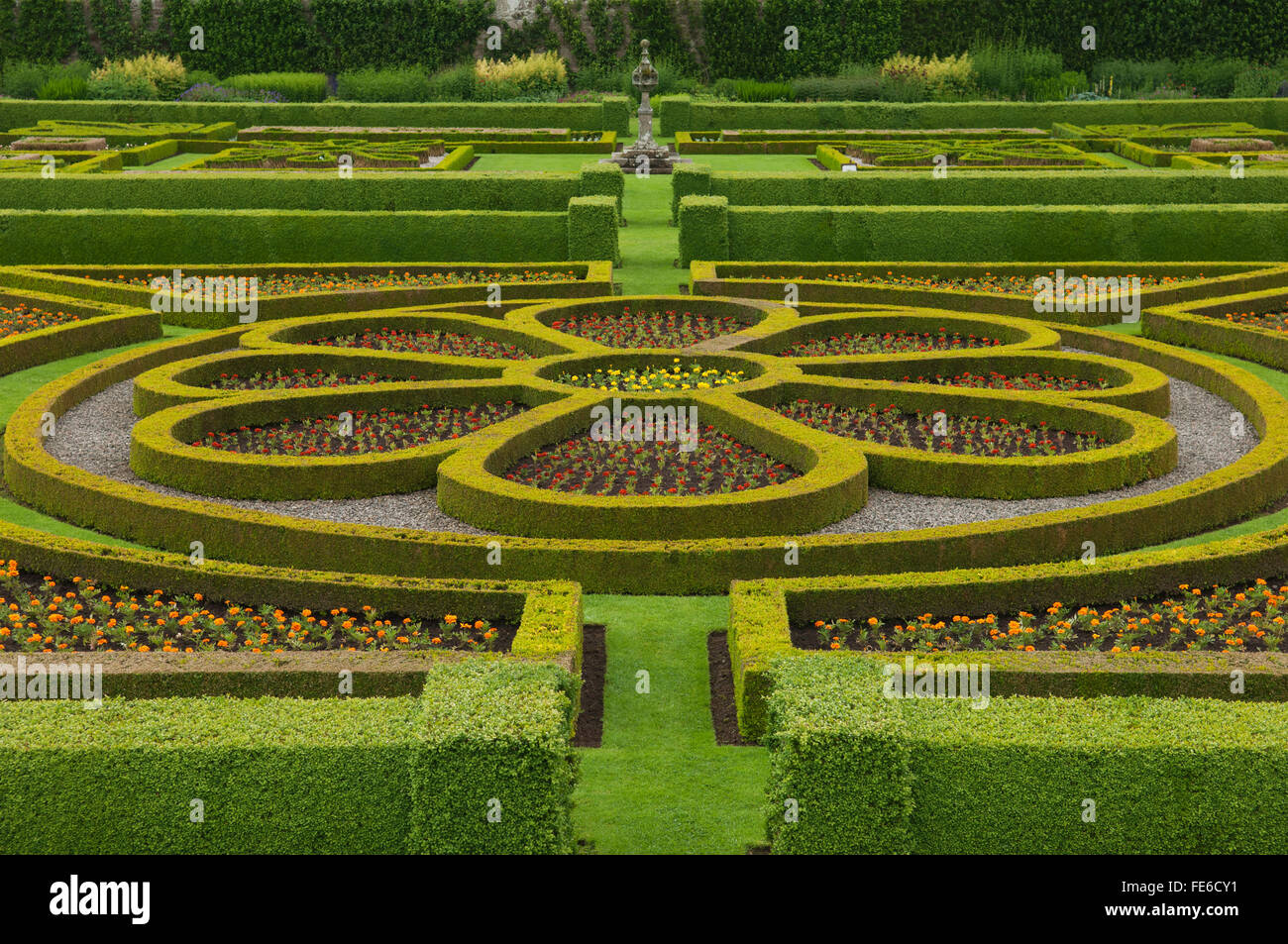 Reich verzierte Grenzen im Pitmedden Garden, Aberdeenshire, Schottland. Stockfoto