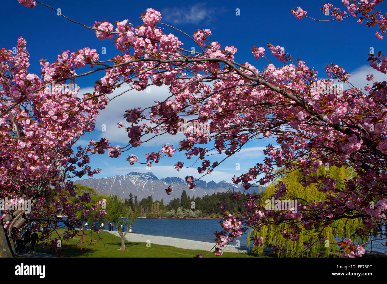 Spring Blossom, Lake Wakatipu und The Remarkables, Otago, Queenstown, Südinsel, Neuseeland Stockfoto