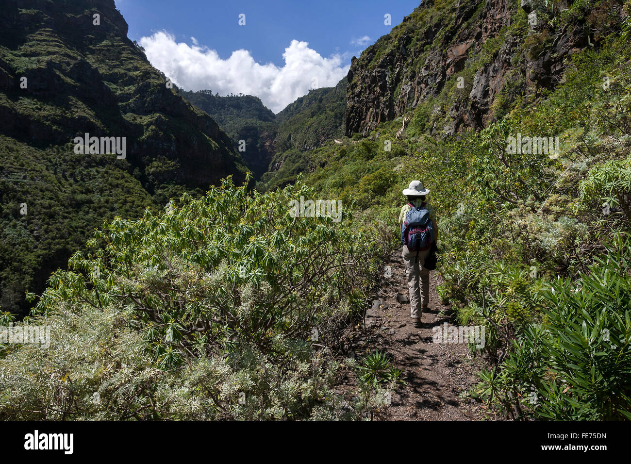 Wanderer im Barranco de Ruiz, San Juan De La Rambla, Teneriffa, Kanarische Inseln, Spanien Stockfoto