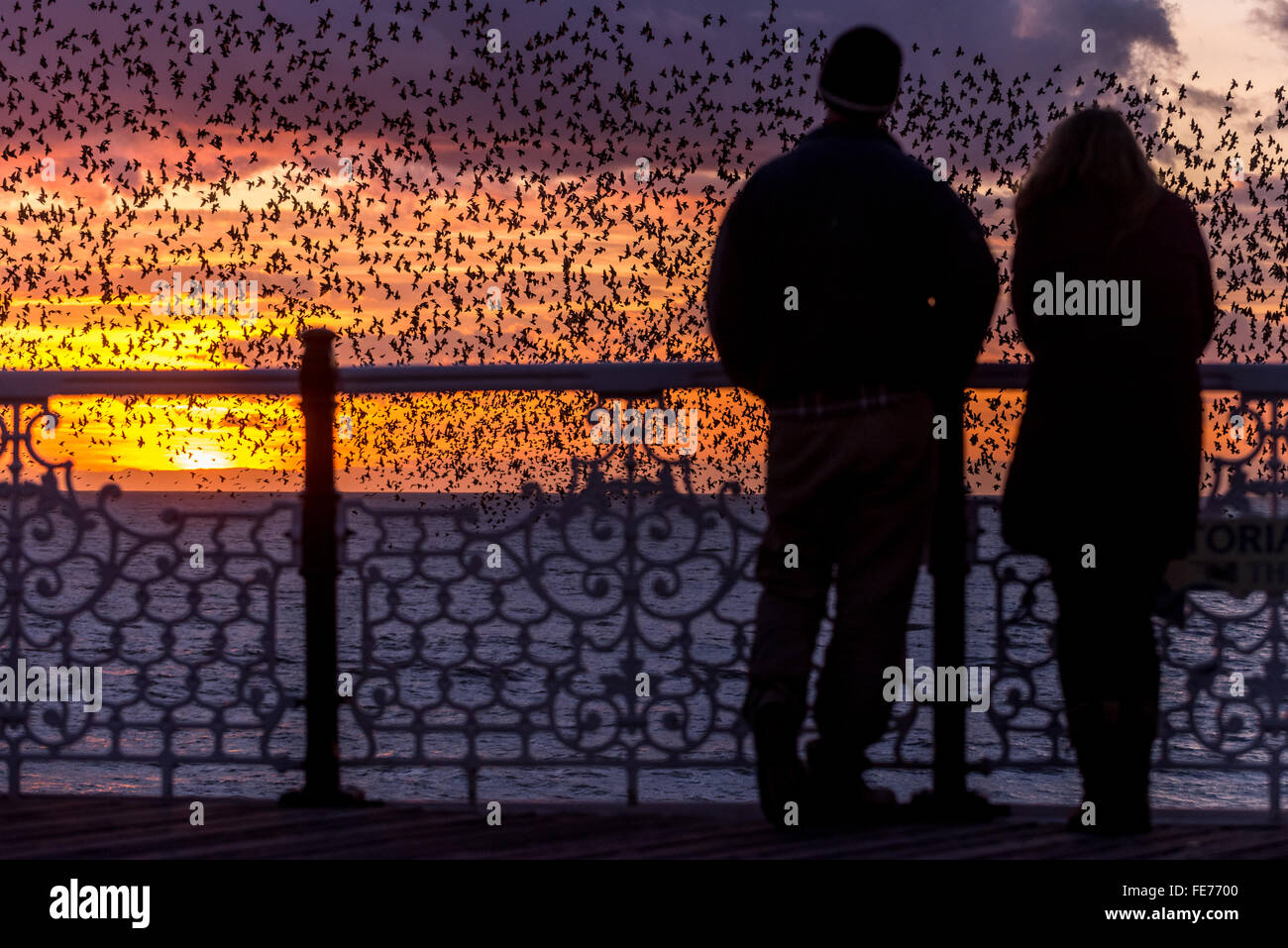 Leute beobachten die nächtlichen Murmuration der Stare bei Sonnenuntergang vom Palace Pier in Brighton. Stockfoto