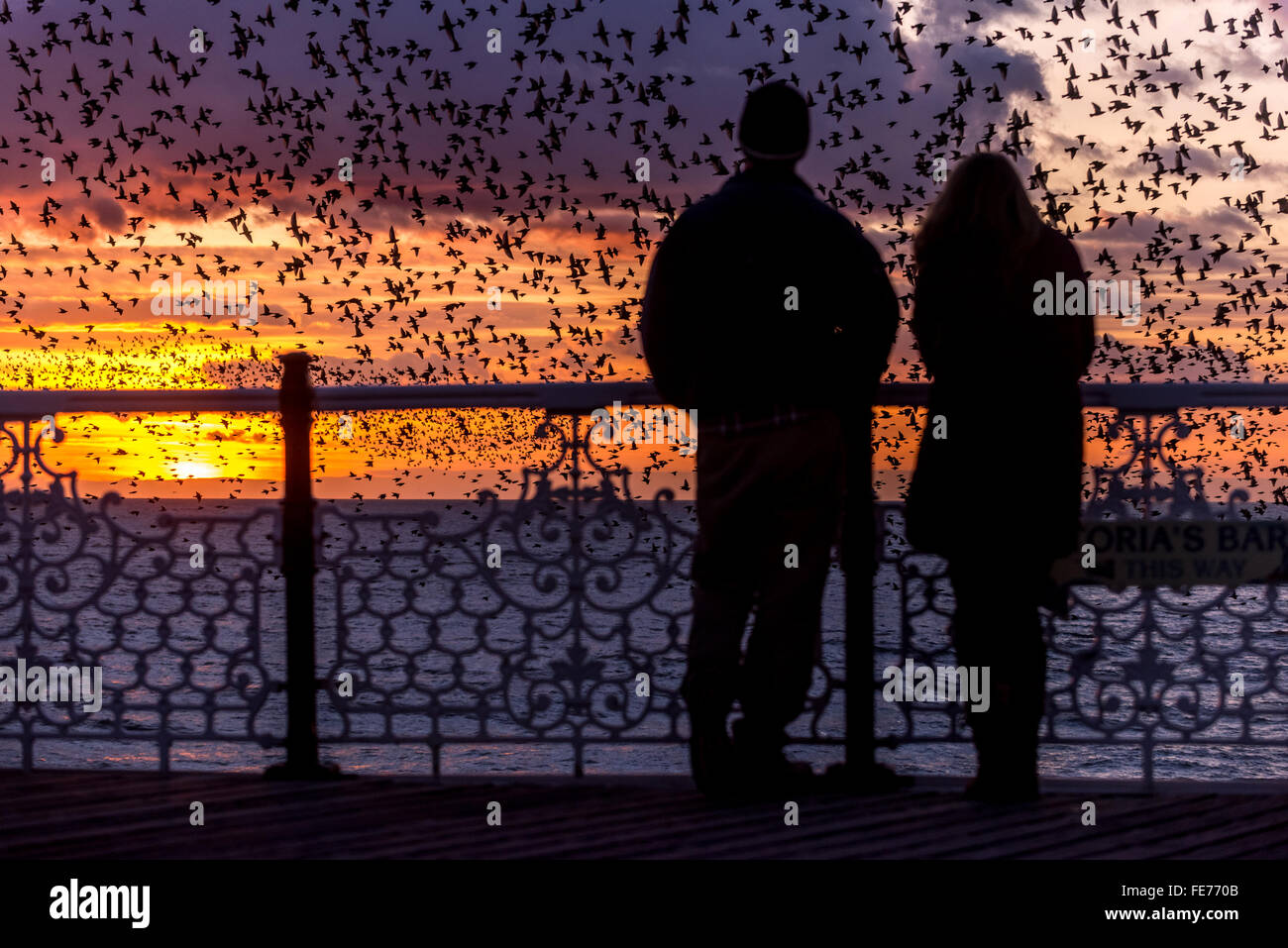 Leute beobachten die nächtlichen Murmuration der Stare bei Sonnenuntergang vom Palace Pier in Brighton. Stockfoto