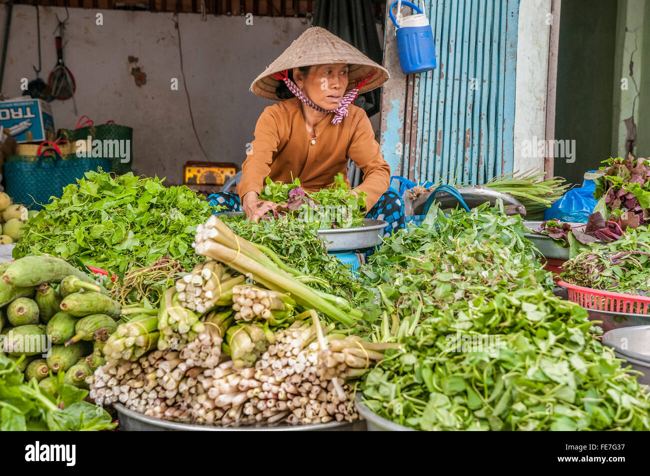 Vietnam. Vietnam. Ost-Asien. Straßenhändler Stockfoto