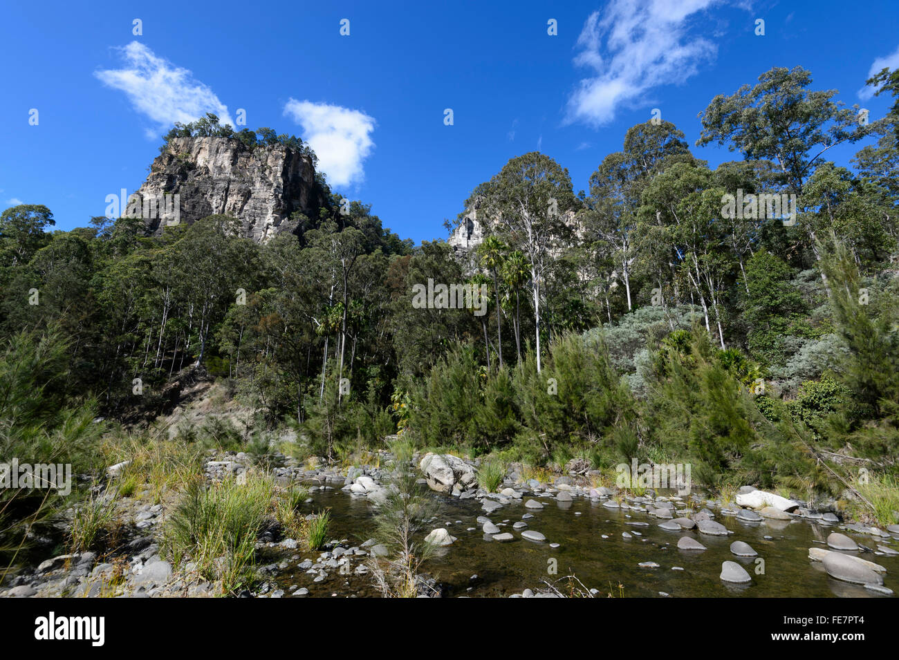 Carnarvon Gorge, Queensland, Queensland, Australien Stockfoto