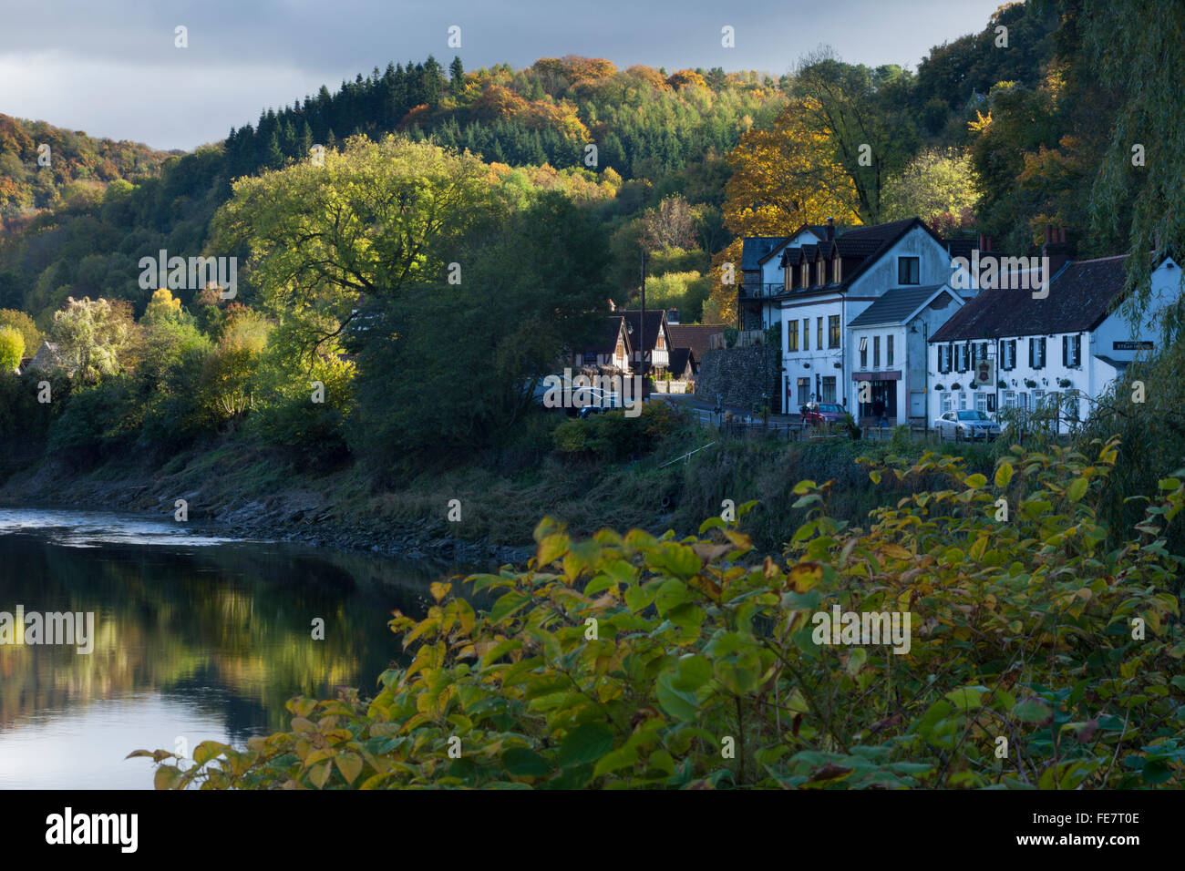 Das Dorf Tintern an den Ufern des Flusses Wye im unteren Wye Valley in goldene Herbstsonne, Monmouthshire, Wales Stockfoto