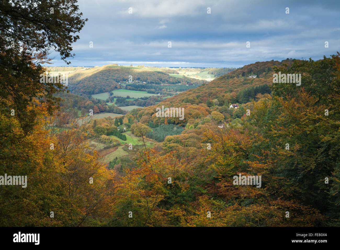 Eine erhöhte Ansicht des Wye Tal und in den Wald von Dean angezeigte reichen Herbst Farben in der Nähe von Llandogo, Monmouthshire, Wales Stockfoto