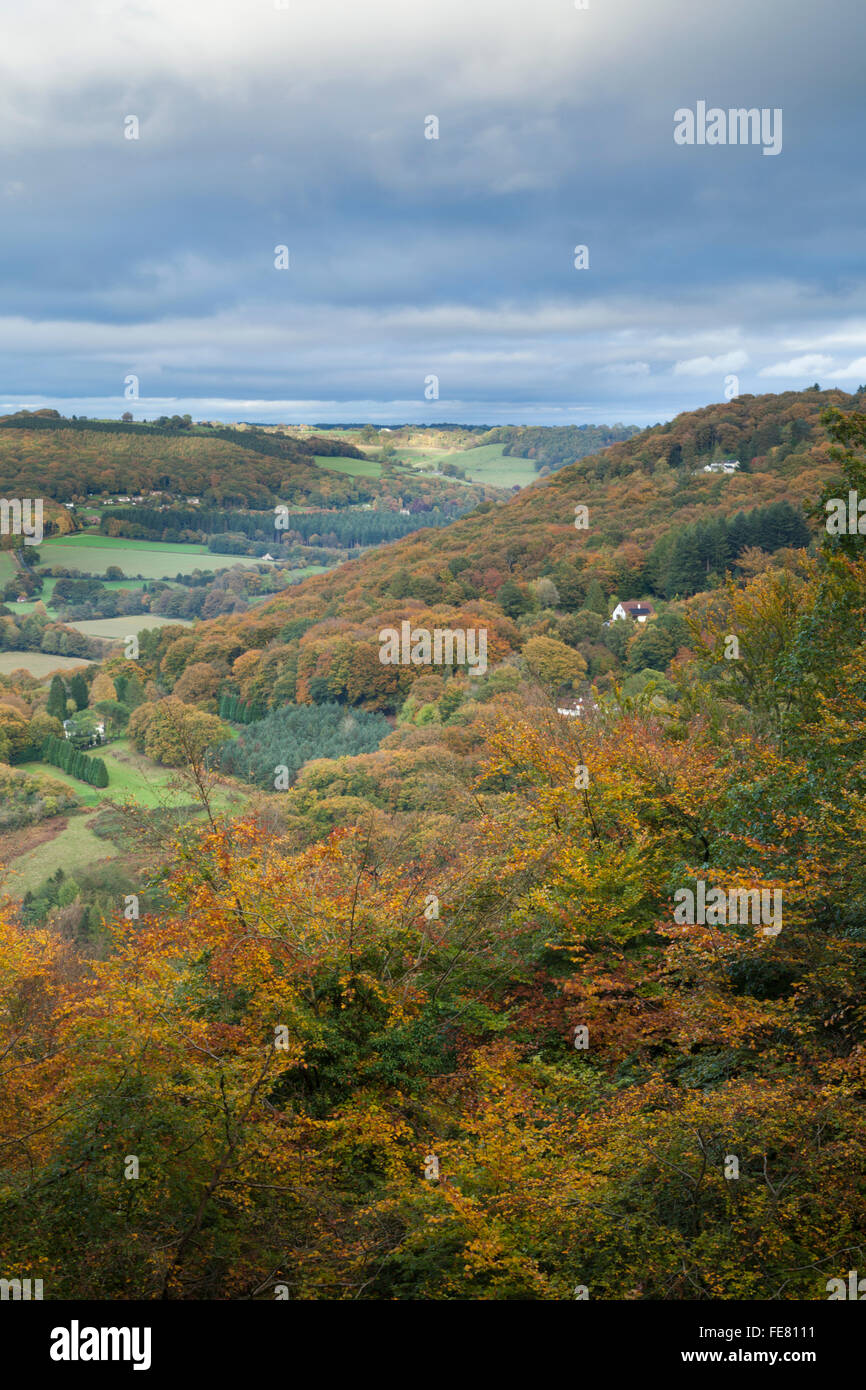 Einen erhöhten Blick auf das Wye Valley und in der Forest of Dean anzeigen Herbstfarben in der Nähe von Llandogo, Monmouthshire, Wales Stockfoto