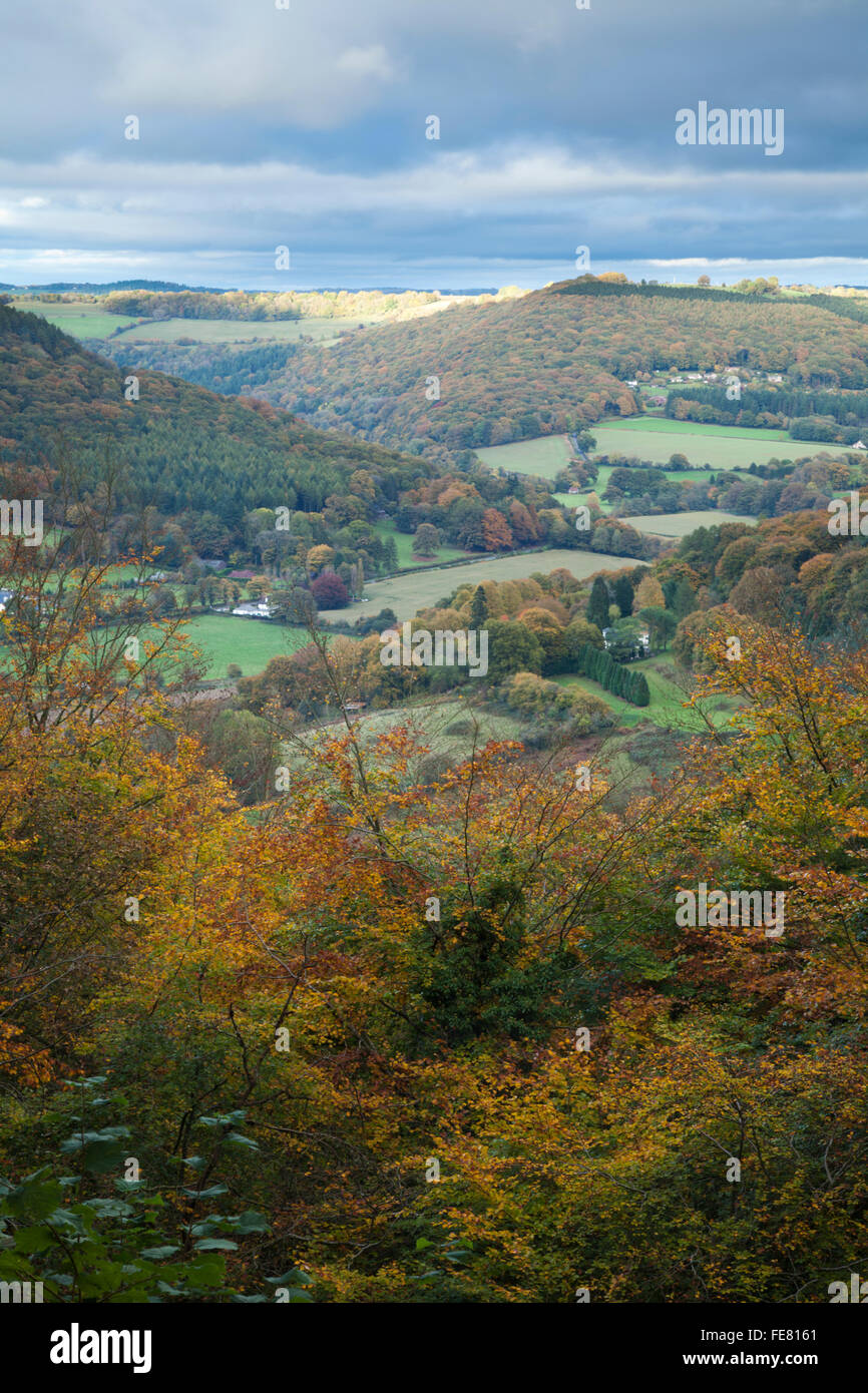 Einen erhöhten Blick auf das Wye Valley und in der Forest of Dean anzeigen Herbstfarben in der Nähe von Llandogo, Monmouthshire, Wales Stockfoto
