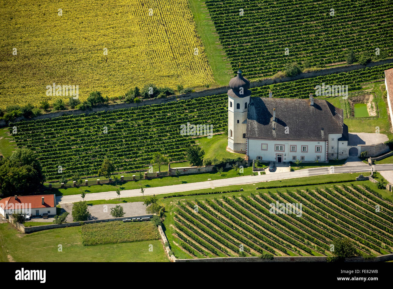 Luftaufnahme, Kirche im Kloster Thallern des Klosters Heiligenkreuz mit Weinbergen, Guntramsdorf, Niederösterreich, Österreich, Stockfoto