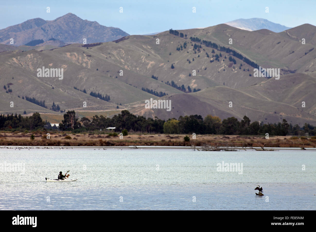 Wird Parsons Treibholz Rückzugs-und Öko-Touren Kajak auf der Lagune am Wairau Bar, Marlborough Stockfoto