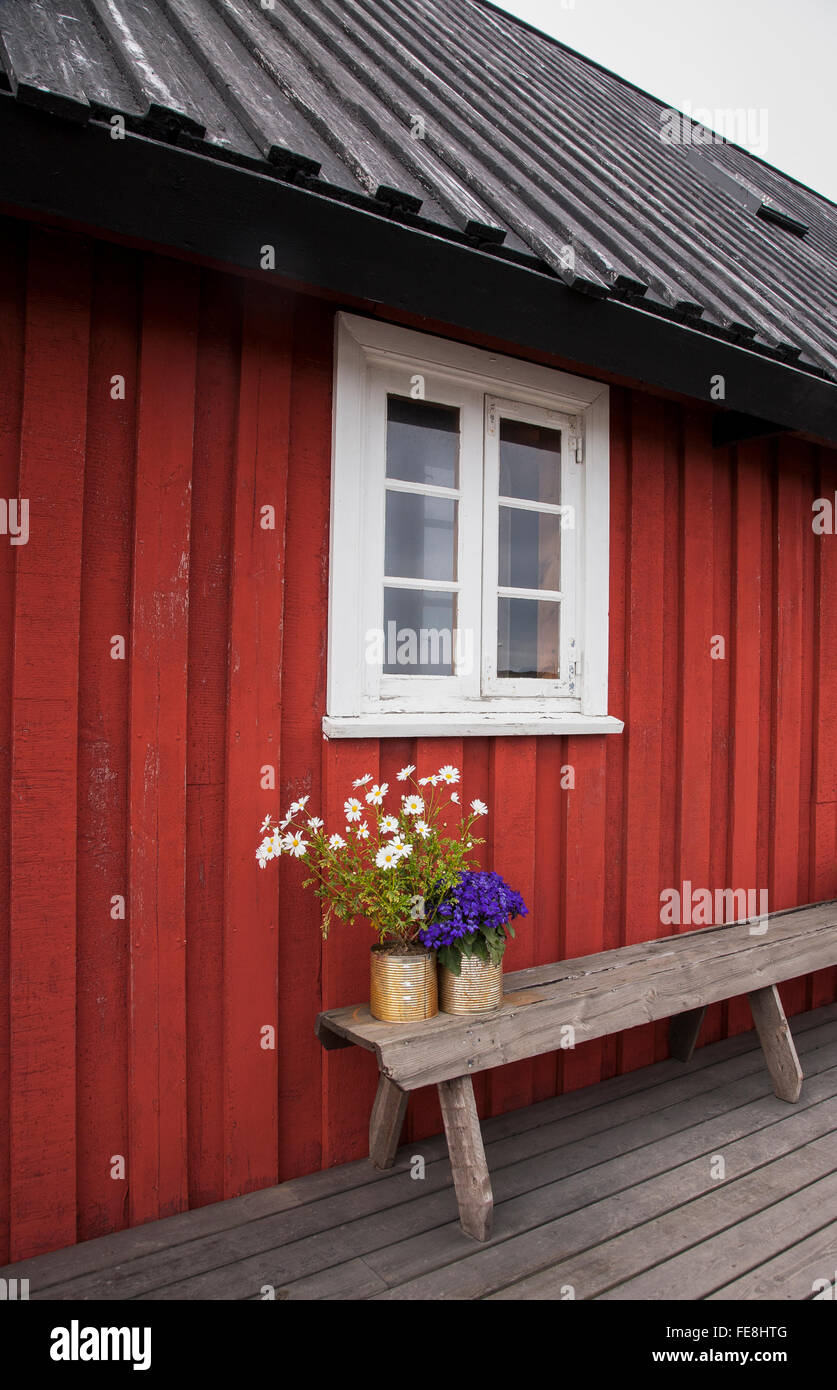 Rote Fassade Fenster und Töpfe mit Blumen, im Osten von Island, Europa Stockfoto