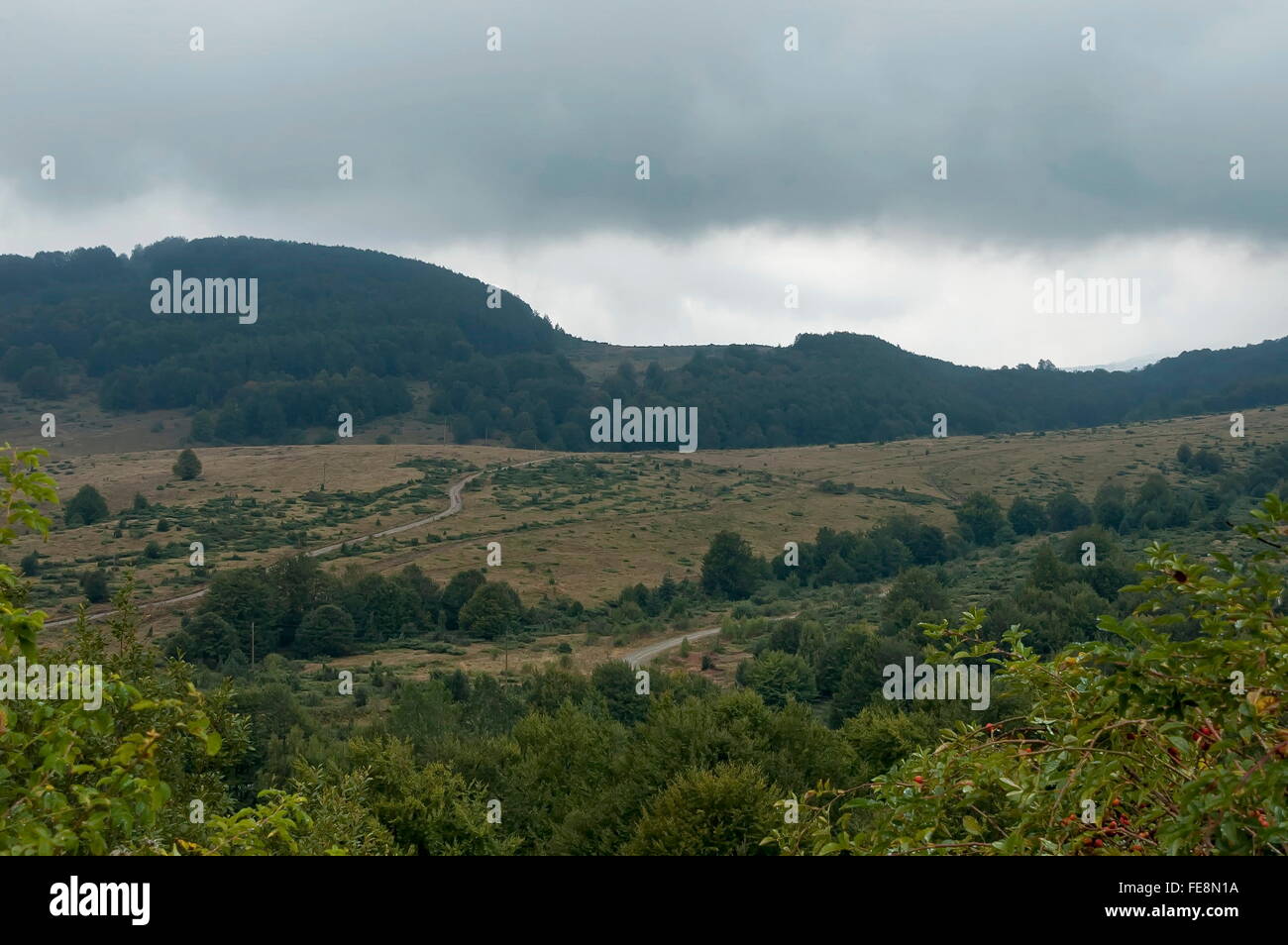 Landschaft der Petrohan-Passage in Planina-Gebirges im bewölkten Tag, Bulgarien Stockfoto