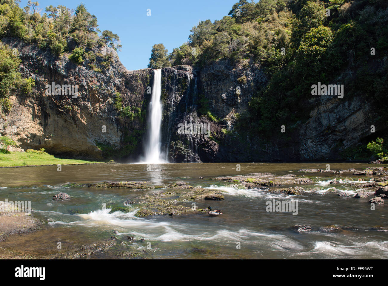 Hunua fällt Sichtweite in Hunua Ranges Regional Park in der Nähe von Auckland, Neuseeland Stockfoto