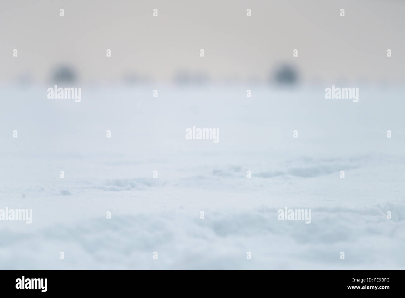 Schnee-Feld-Hintergrund mit flachen Fokus Stockfoto