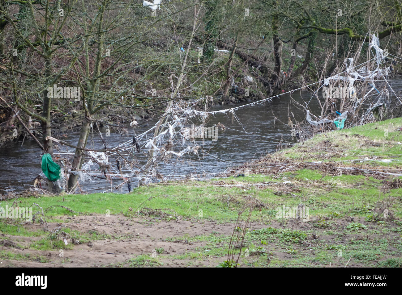 Rückstände zu überfluten und Wurf in den Bäumen am Fluss Calder, B6112, Stainland Rd, Halifax, West Yorkshire HX3 9EQ. Stockfoto