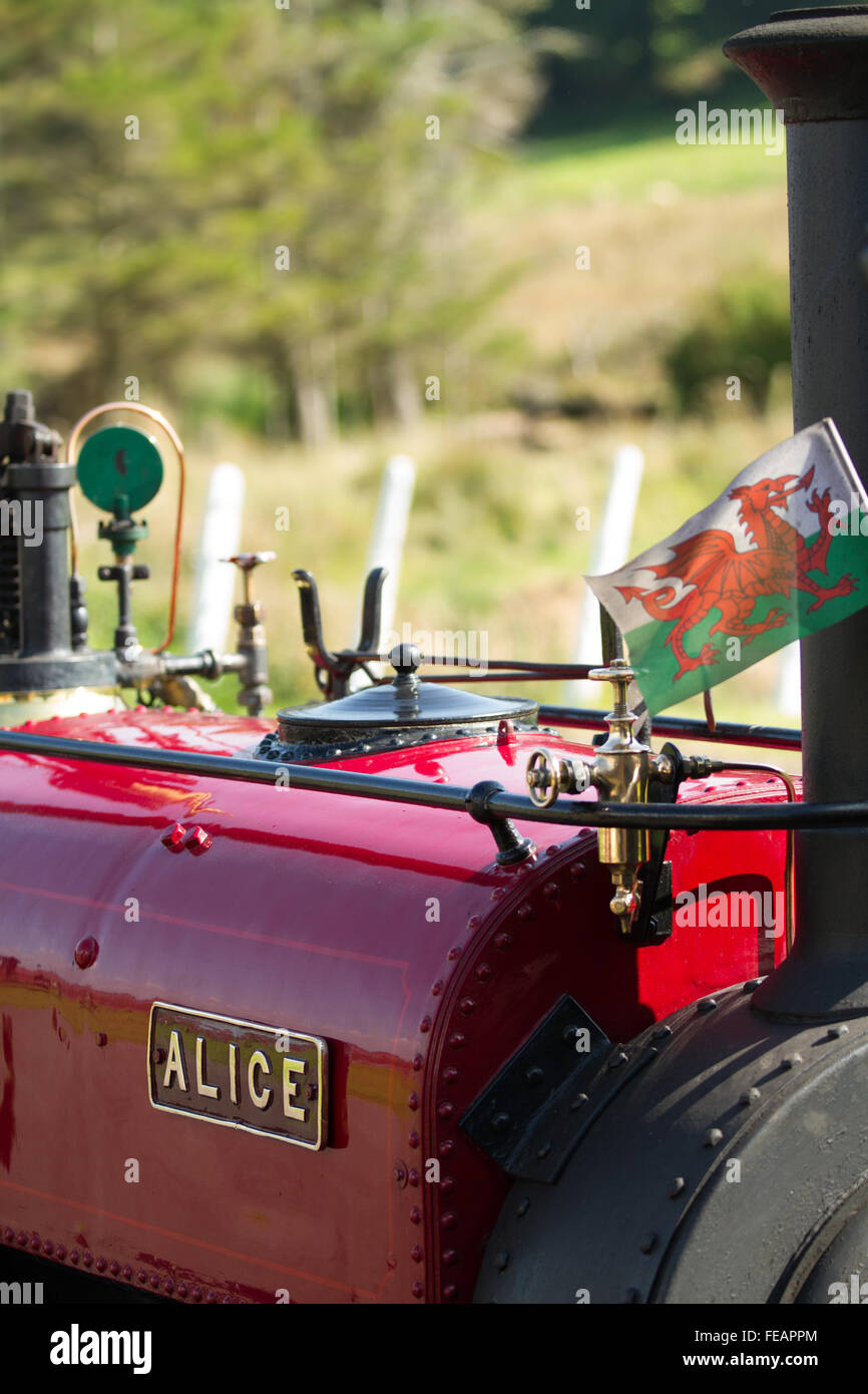 Quarry Hunslet Alice mit Welsh Dragon Flags, polierten Lack und Messing auf der Bala Lake Railway, North Wales. Stockfoto