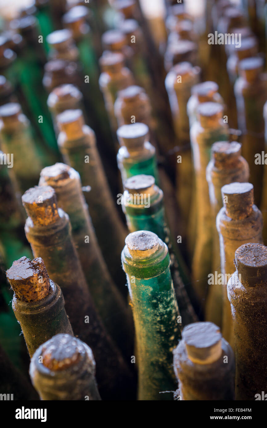 Viele alte Weinflaschen Draufsicht, vertikale Zusammensetzung Stockfoto