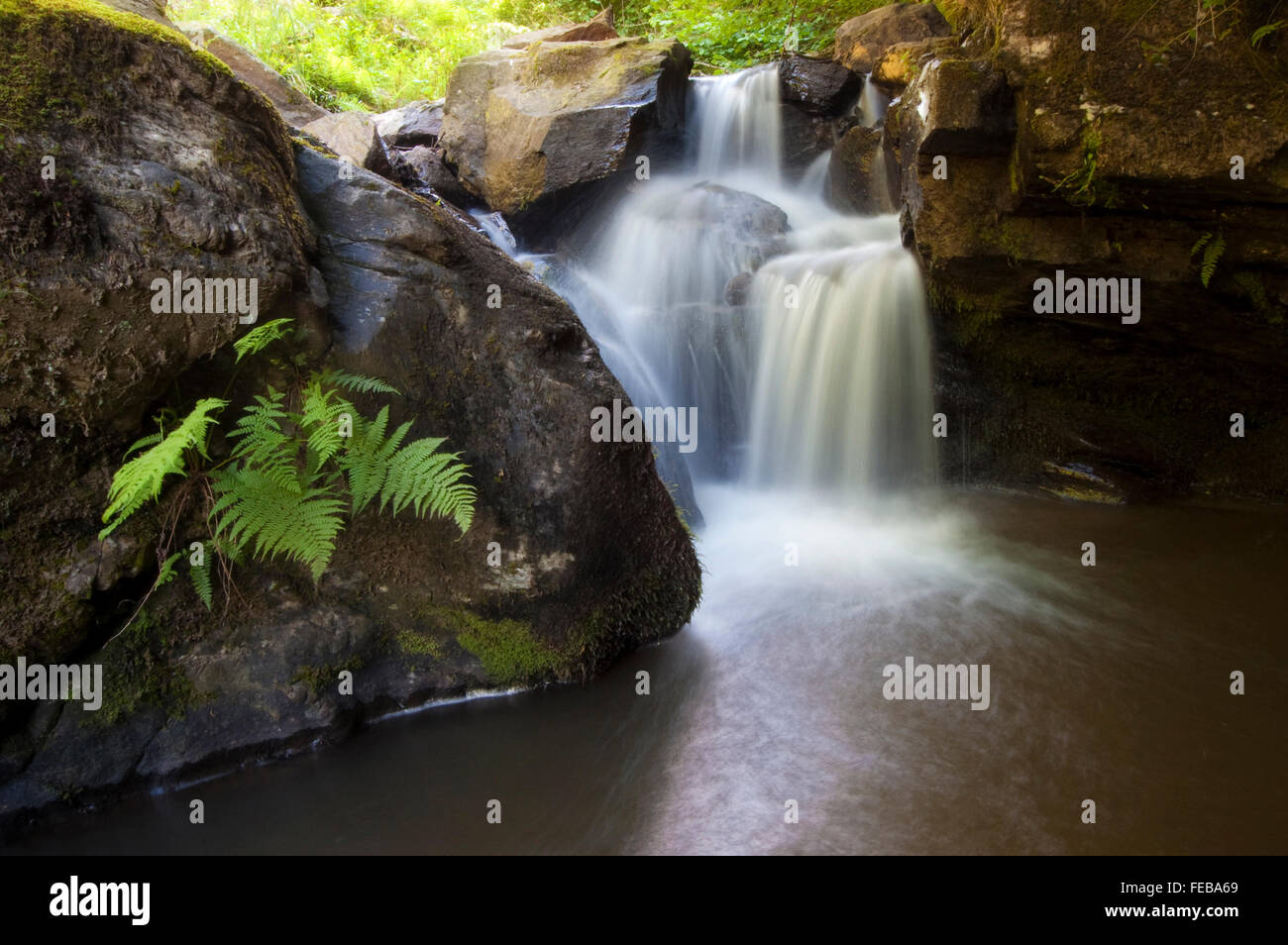 Wasserfall auf forest Stream mit grüner Vegetation Stockfoto