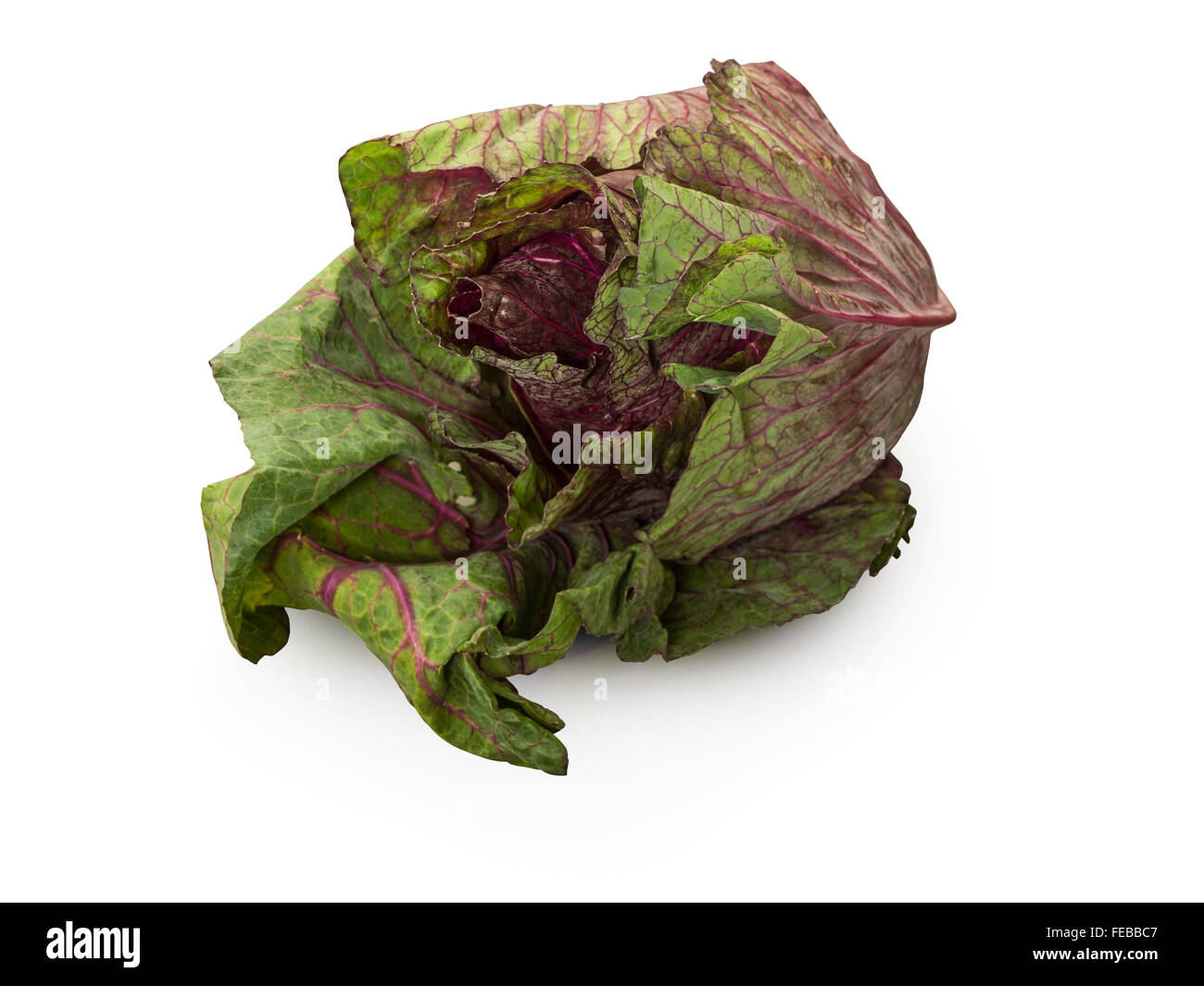 Organische Kohl auf weißem Hintergrund Stockfoto