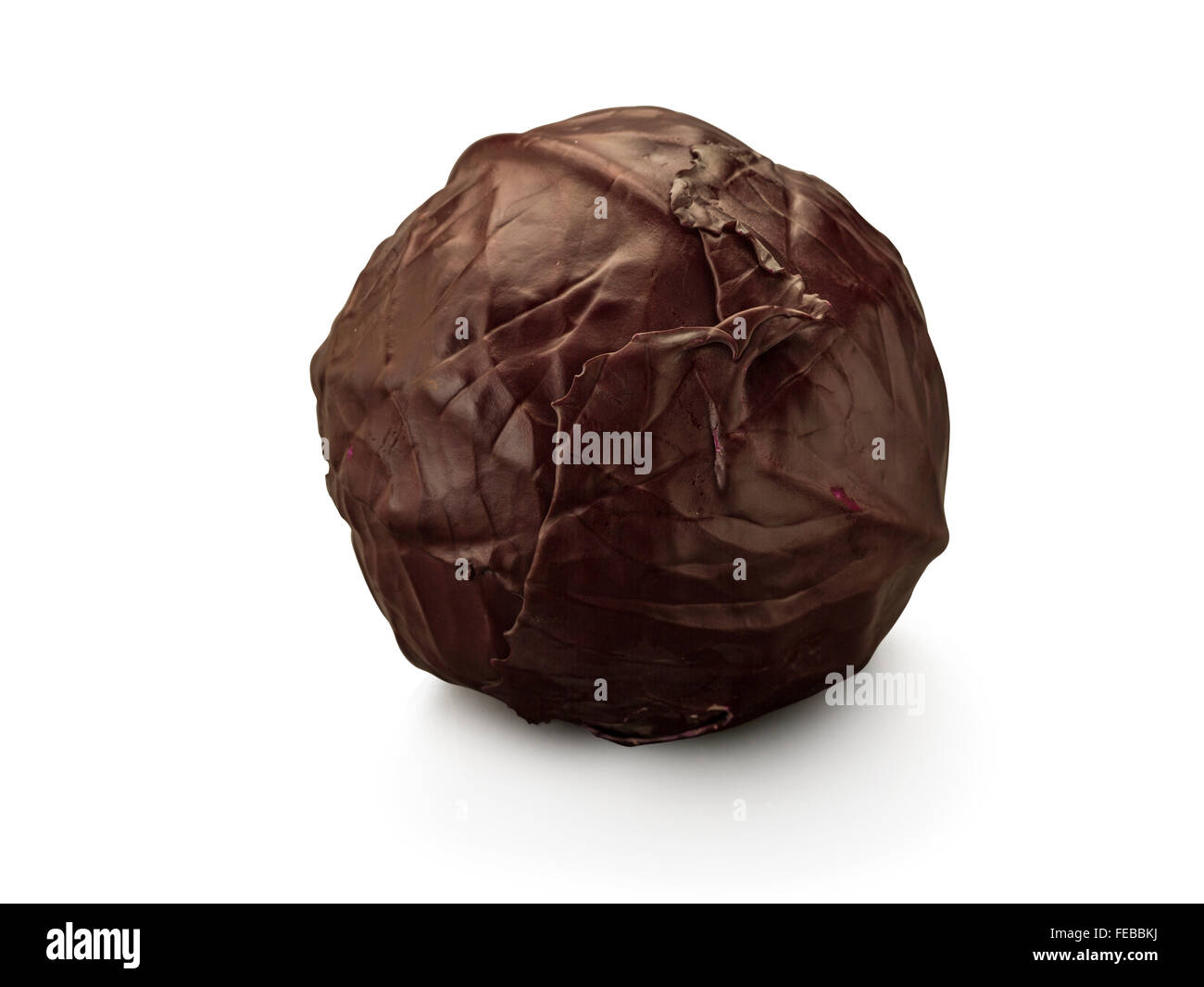 Organische Kohl auf weißem Hintergrund Stockfoto