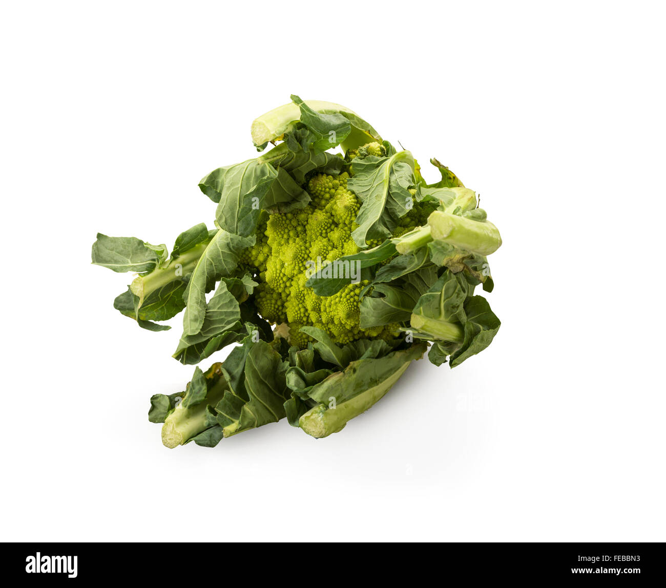 Organische Blumenkohl auf weißem Hintergrund Stockfoto