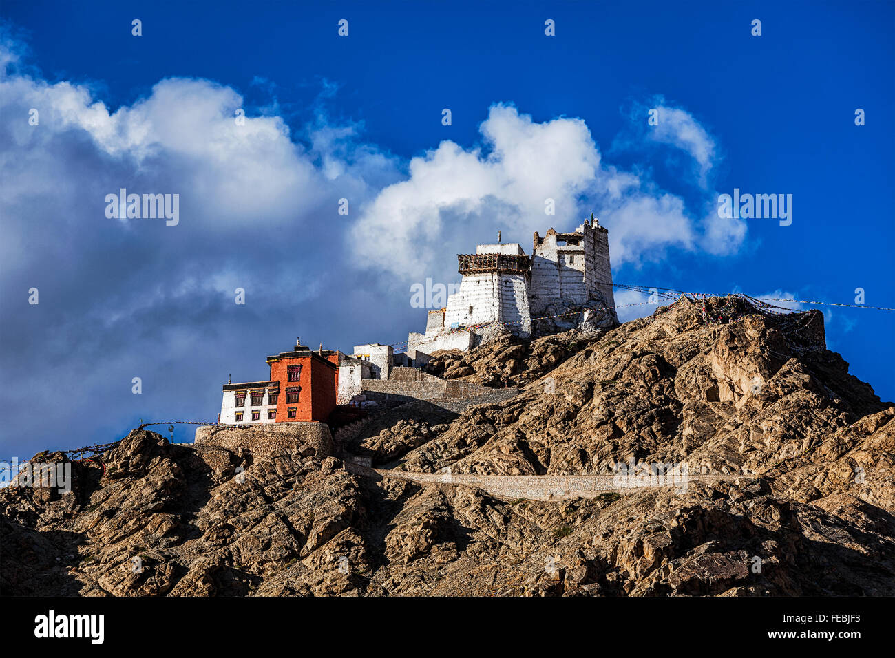 Namgyal Tsem Gompa und Fort. Leh, Ladakh Stockfoto