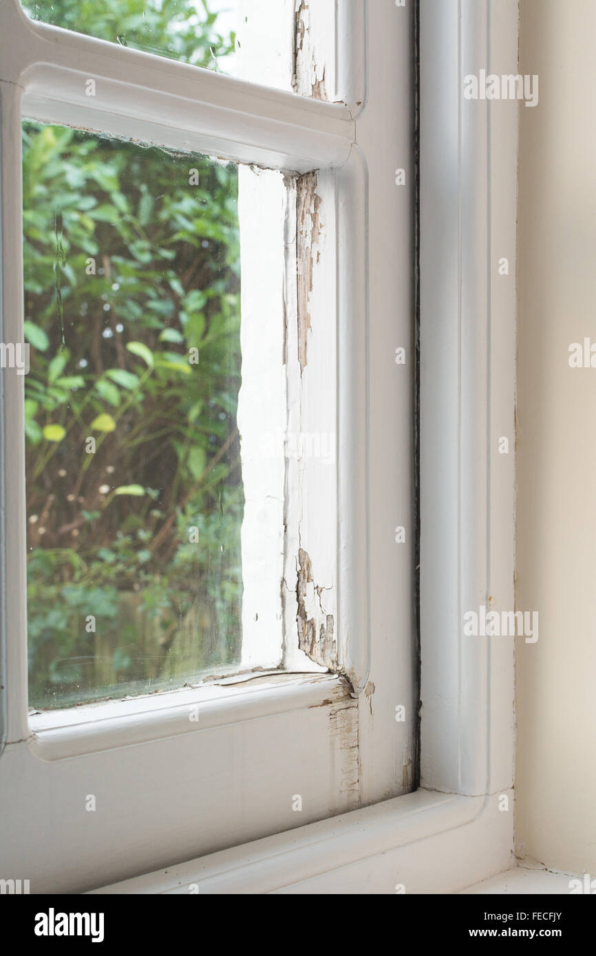 Schäden Sie an einzelnen verglaste Holzfenster Rahmen verursacht durch Kondensation und Regen Stockfoto