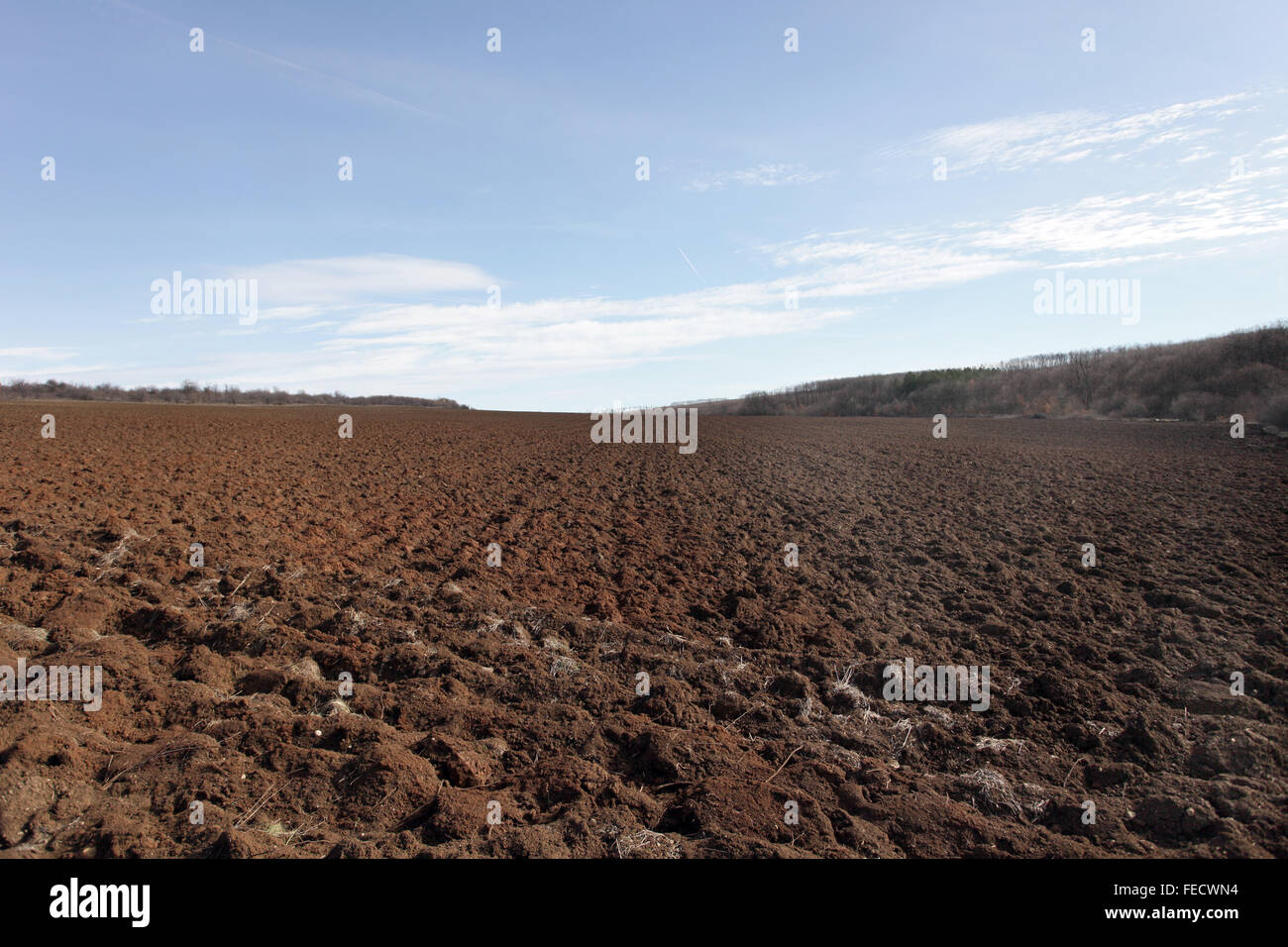 Gepflügtes Feld vor dem Einpflanzen. Stockfoto