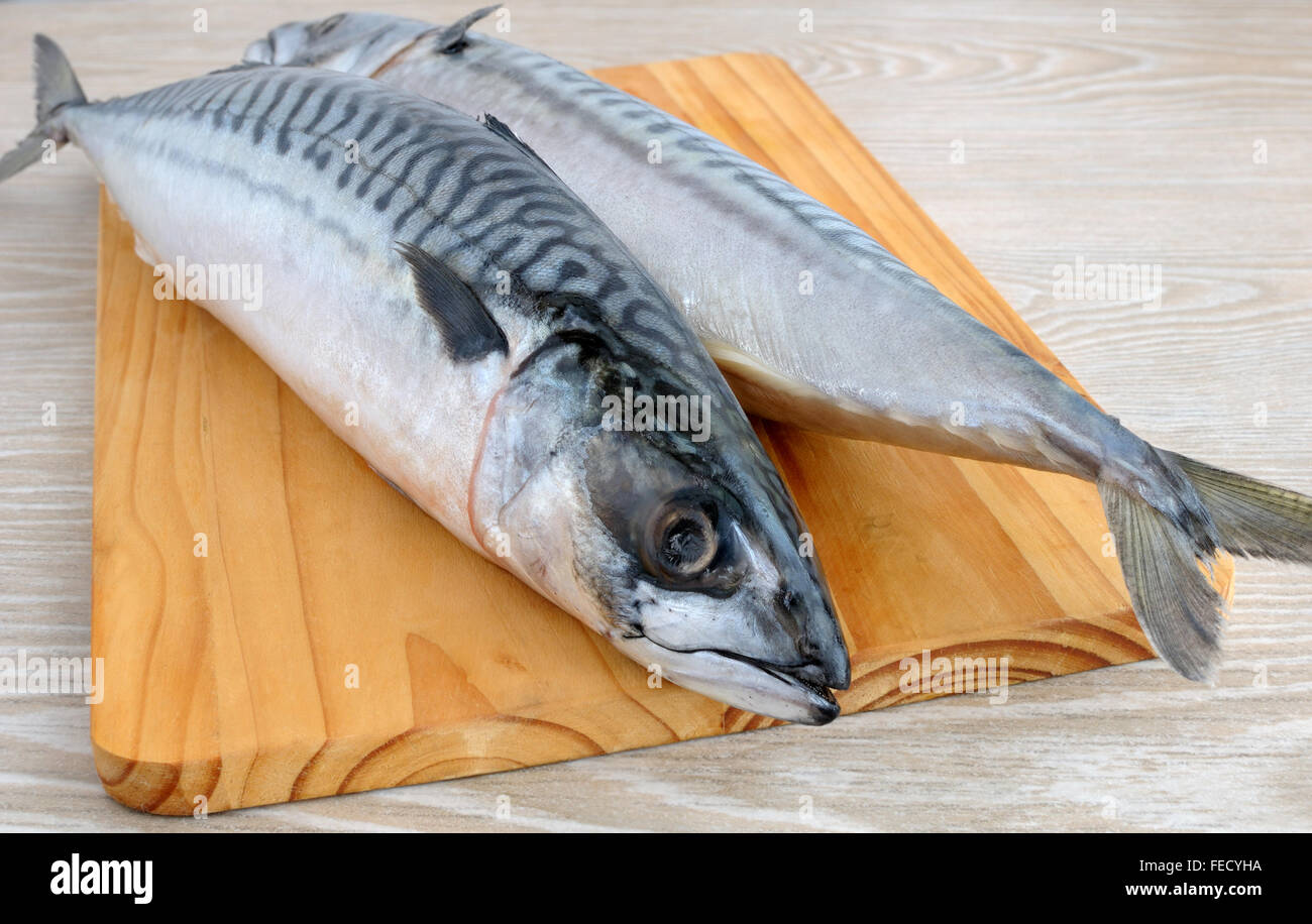 Frische Makrelen auf ein Holzbrett-Nahaufnahme Stockfoto