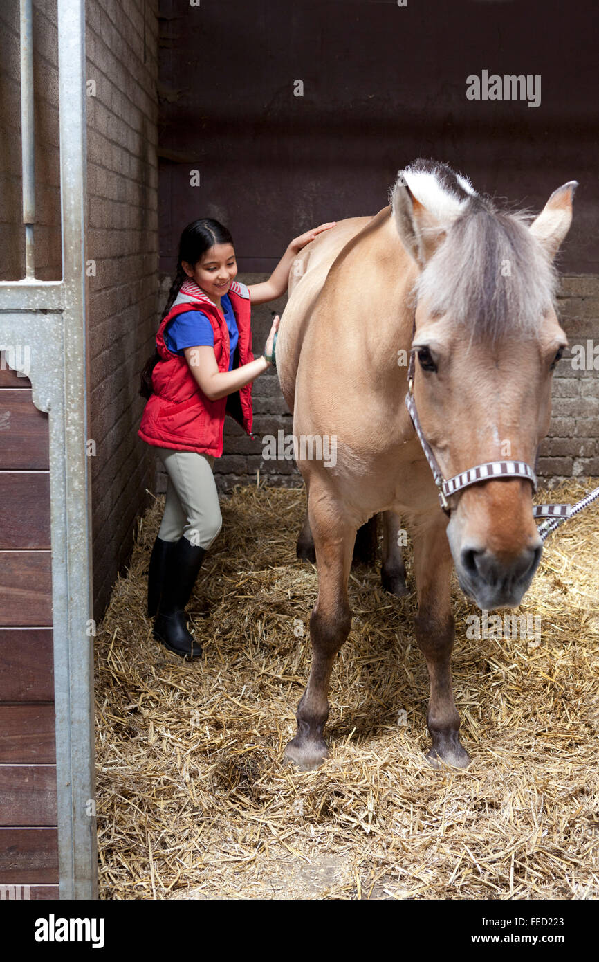 Kleines Mädchen ist ihr liebstes Pferd im Stall Bürsten. Stockfoto