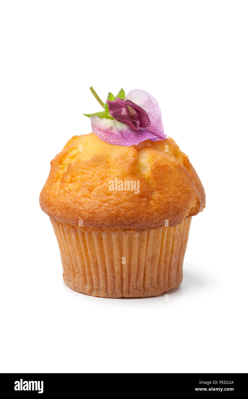 Muffin mit frischen Sweet Pea Blume auf weißem Hintergrund Stockfoto